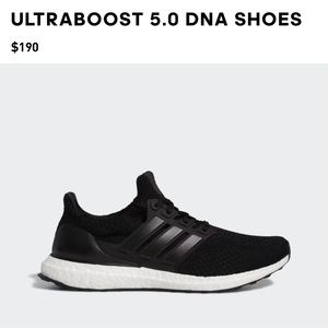 Adidas Ultraboost in EXCELLENT Condition
